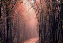 问鼎娱乐:记者:罗马愤怒情绪高涨,但不会向欧足联申诉胡梅尔斯的红牌.