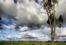 问鼎娱乐：平负，法国队在对阵克罗地亚的比赛中已经连续场不胜.