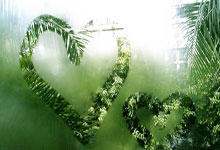 问鼎娱乐:雄狮2比1胜柬埔寨 亚细安足球锦标赛迎开门红.