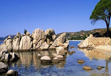 赢球心情好，巴萨高层赛后合影庆祝击败马竞.